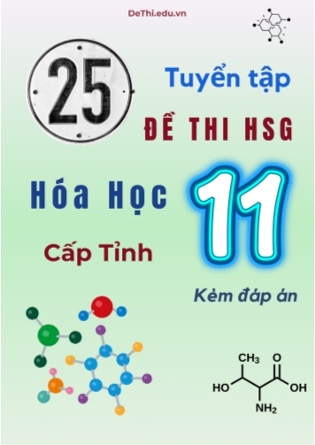 Tuyển tập 25 Đề thi HSG cấp Tỉnh môn Hóa học 11 (Kèm đáp án)